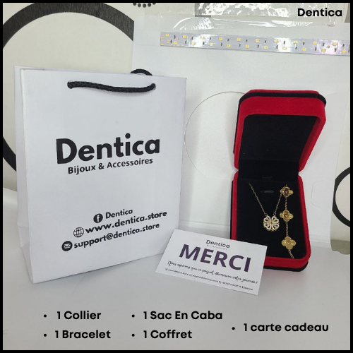 Collier Acheté = ( Bracelet + Coffret) Offerts + Livraison Gratuite
