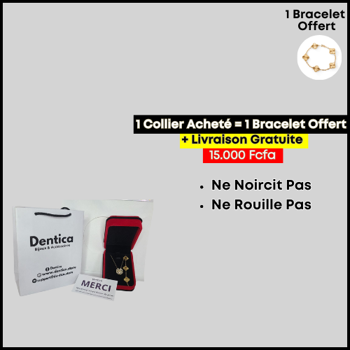 Collier Acheté = ( Bracelet + Coffret) Offerts + Livraison Gratuite