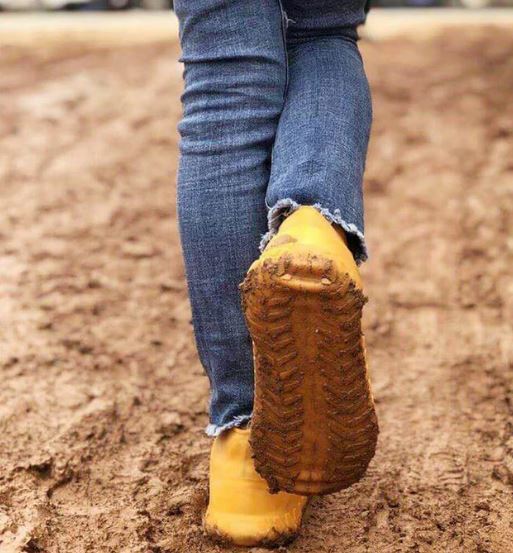 Protège chaussures